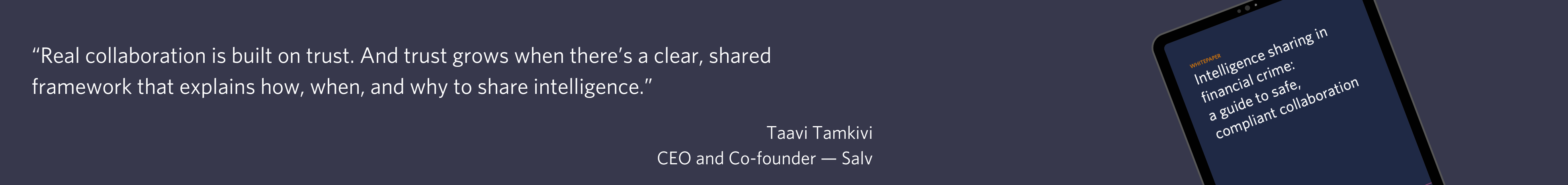 Banner showing a quote and an illustration of the case study brochure.